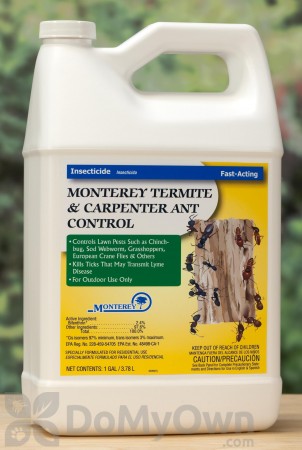 Monterey Termite and Carpenter Ant Control Gallon
