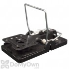 Big Snap-E Rat Trap (12 traps)