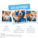 Adams Plus Pyrethrin Dip for Dogs and Cats