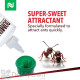 DominAnt Liquid Ant Bait Gallon