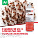 DominAnt Liquid Ant Bait Gallon
