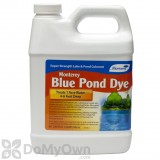Monterey Blue Pond Dye