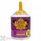 Cut Heal Hoof Heal 