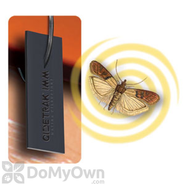Trappify Universal Moth Traps with Pheromones: Adhesive Pantry Moth Traps for CL