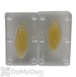 Alternate Image 1 Thumbnail