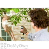 Alternate Image 1 Thumbnail