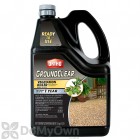 Ortho GroundClear Vegetation Killer Ready-To-Use