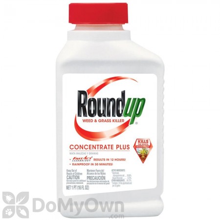 Roundup Weed & Grass Killer Concentrate Plus 16 oz.
