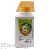 Alternate Image 1 Thumbnail