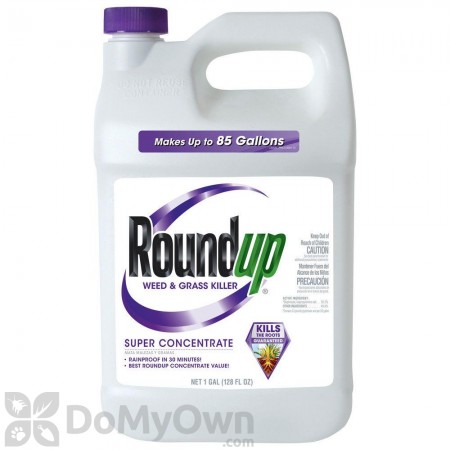 Roundup Weed & Grass Killer Super Concentrate 1 gal.