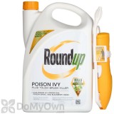 Roundup Ready-to-Use Poison Ivy Plus Tough Brush Killer with the Comfort Wand