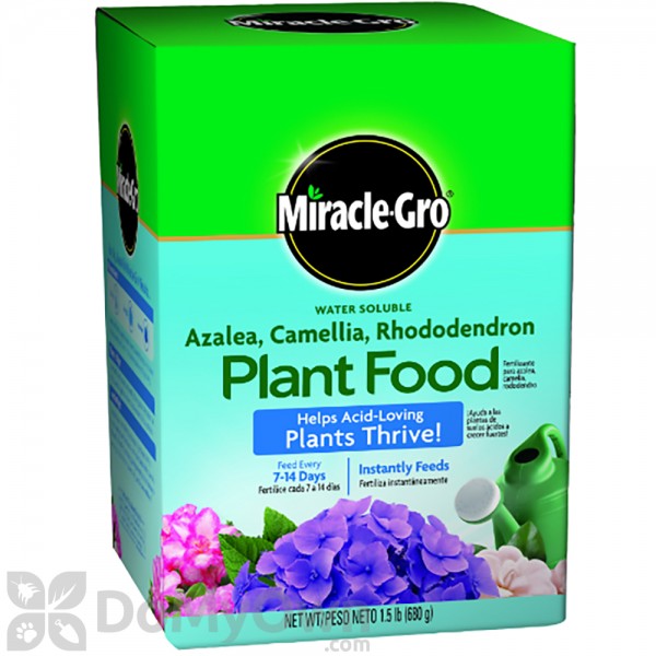 Miracle-Gro Water Soluble Azalea, Camellia, Rhododendron Plant F