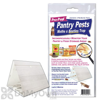 https://cdn.domyown.com/images/thumbnails/16265-Pantry-Pests-Moths-Beetles-Trap/16265-Pantry-Pests-Moths-Beetles-Trap.jpg.thumb_320x320.jpg