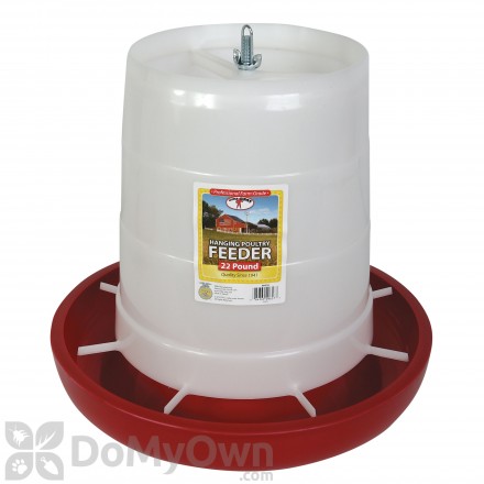 Little Giant Plastic Hanging Poultry Feeder 22 lbs.