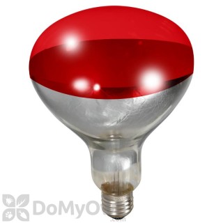 image of Little Giant Red Heat Lamp Bulb 250 watt