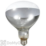 Little Giant Clear Heat Lamp Bulb 250 watt