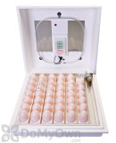 Alternate Image 3 Thumbnail