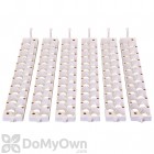 Little Giant Quail Rails