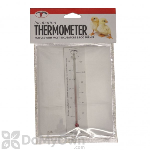 Miller Little Giant Incubator Thermometer Kit, 5.5-in