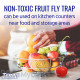 Terro Fruit Fly Trap