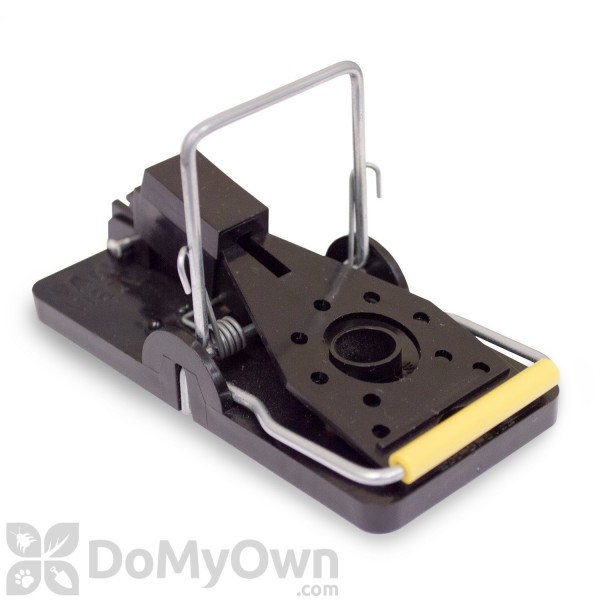 Snap-E Mouse Trap - CASE