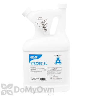 image of Strobe 2L Fungicide
