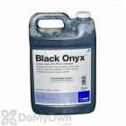 Black Onyx Lake and Pond Colorant