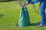 Garden Wizard Tree Bag