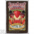 FoxFarm Strawberry Fields Fruiting & Flowering Potting Soil