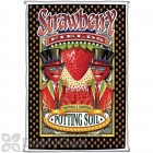 FoxFarm Strawberry Fields Fruiting & Flowering Potting Soil