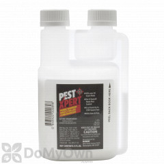 PestXpert Home Barrier Insect Killer Concentrate