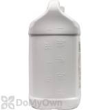 Alternate Image 1 Thumbnail