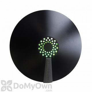 Aura Decorative Fly Light Trap - Black