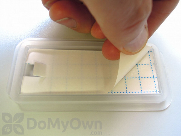 Replacement Glue Boards - All Beetle Trap (50 glue boards)