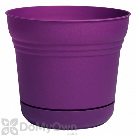 Bloem Saturn Planter 10 in. Passion Fruit