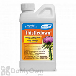 image of Monterey Thistledown