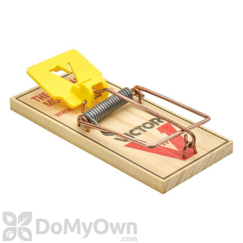 Small Mousetrap 2 Holes Wooden Mouse Trap 