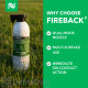 Fireback Bed Bug and Insect Spray - CASE (12 cans)