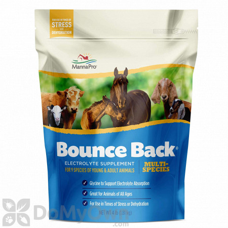 Manna Pro Bounce Back Electrolyte - 4 lb bag 