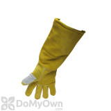 Alternate Image 1 Thumbnail