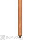 B&G TM-1 Termite Monitor Stake