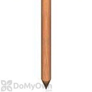 B&G TM-1 Termite Monitor Stake