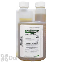 Evergreen Pyrethrum Concentrate