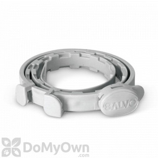image of Salvo Dog Flea and Tick Collar