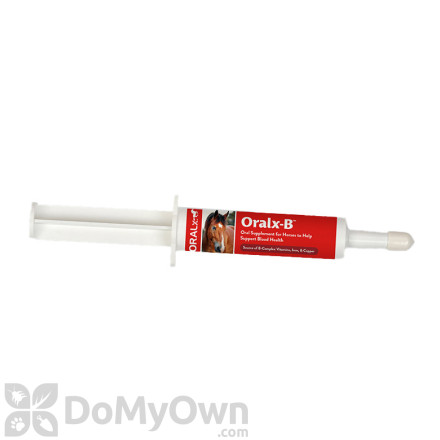 Oralx - B Oral Supplement for Horses