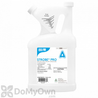 image of Strobe Pro Fungicide