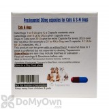 Tapeworm Capsules 30 mg Praziquantel for Cats and Dogs