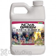 Nova Green 3 - 18 - 18 Bloom 2