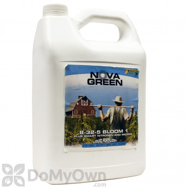 Nova Green 8 - 32 - 5 Bloom I