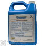 Alternate Image 1 Thumbnail